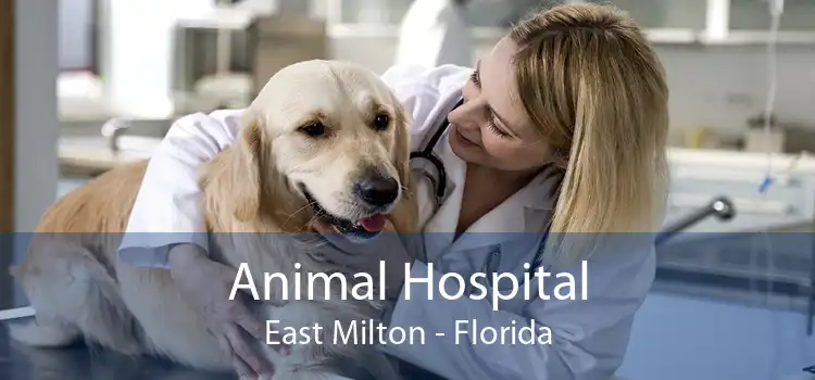 Animal Hospital East Milton - Florida