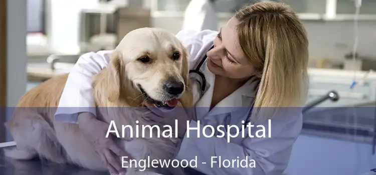 Animal Hospital Englewood - Florida