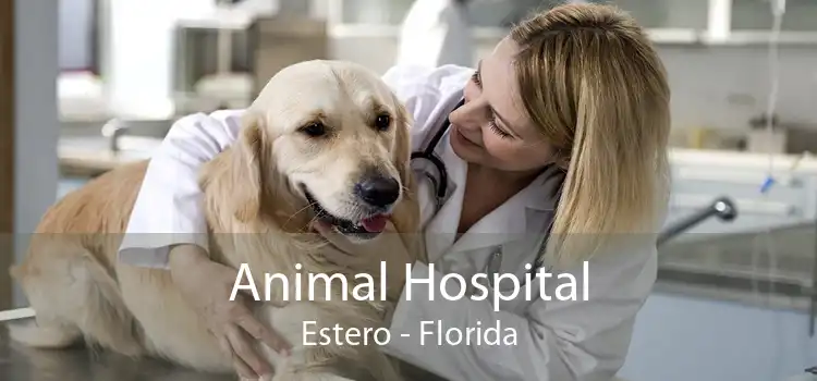 Animal Hospital Estero - Florida