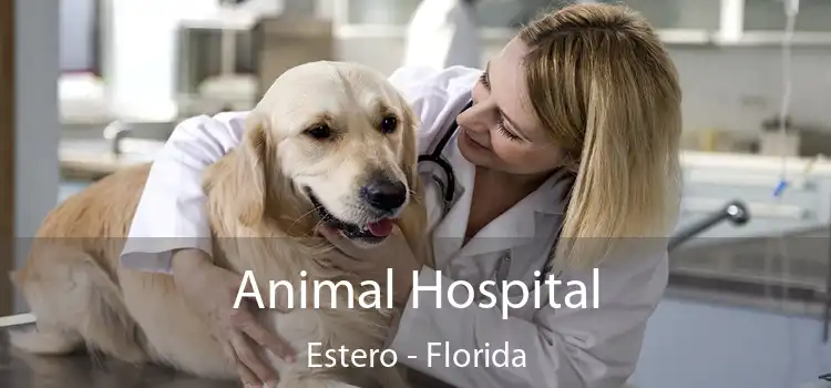 Animal Hospital Estero - Florida