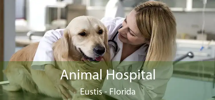 Animal Hospital Eustis - Florida