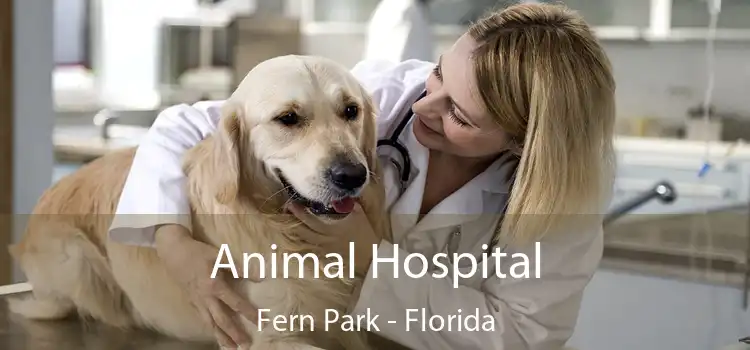 Animal Hospital Fern Park - Florida