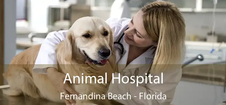 Animal Hospital Fernandina Beach - Florida