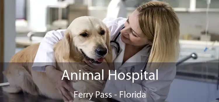 Animal Hospital Ferry Pass - Florida