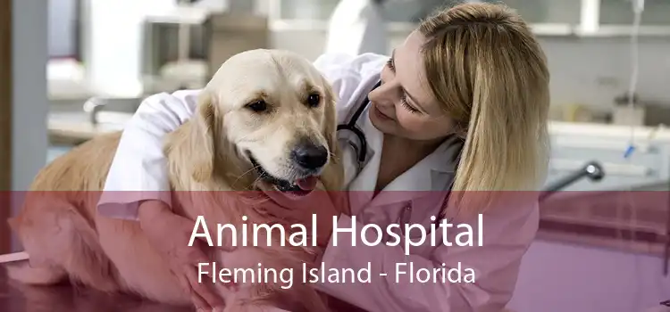 Animal Hospital Fleming Island - Florida
