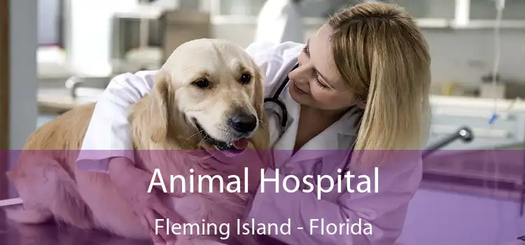 Animal Hospital Fleming Island - Florida