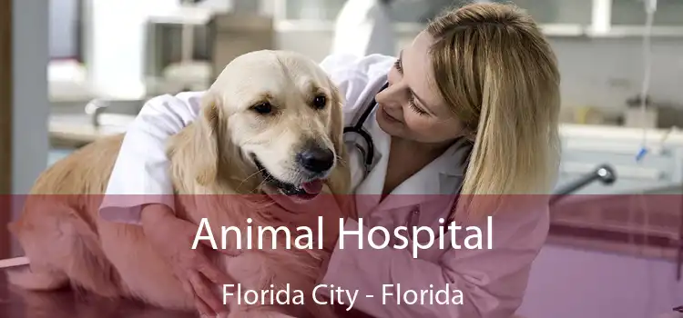 Animal Hospital Florida City - Florida