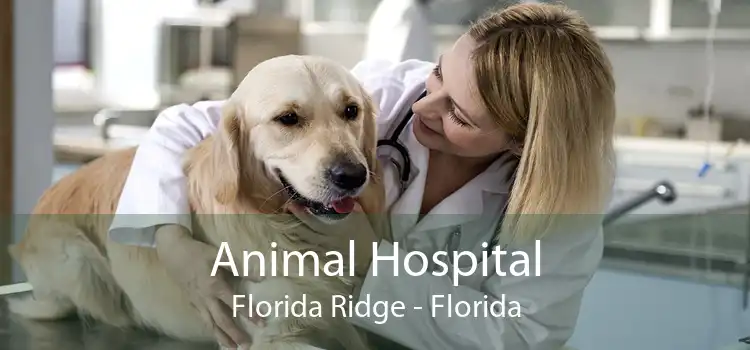 Animal Hospital Florida Ridge - Florida