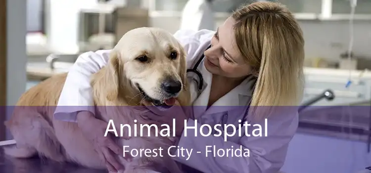 Animal Hospital Forest City - Florida