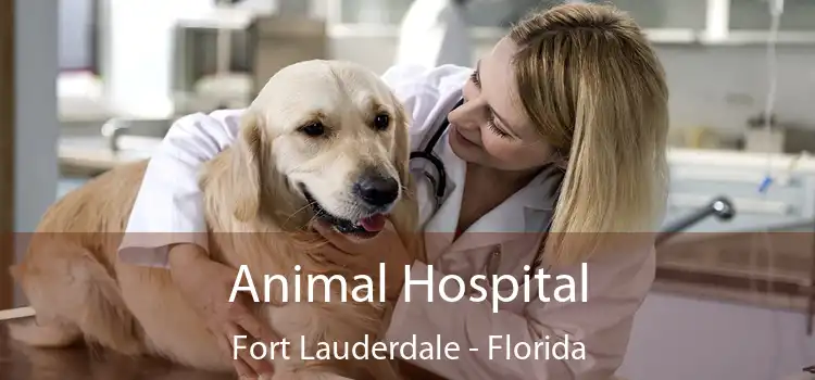 Animal Hospital Fort Lauderdale - Florida