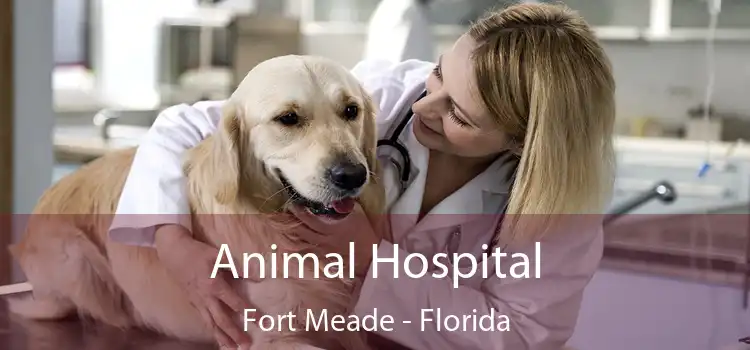 Animal Hospital Fort Meade - Florida