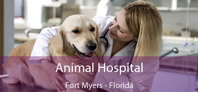 Animal Hospital Fort Myers - Florida