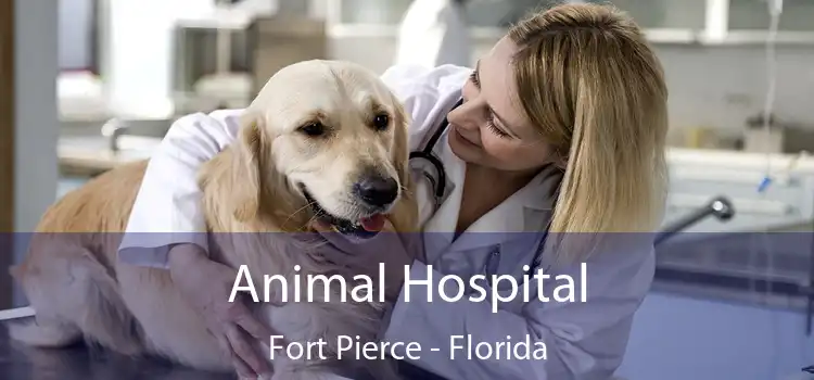 Animal Hospital Fort Pierce - Florida