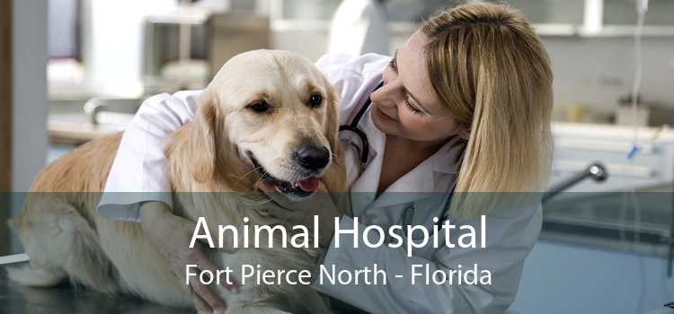 Animal Hospital Fort Pierce North - Florida