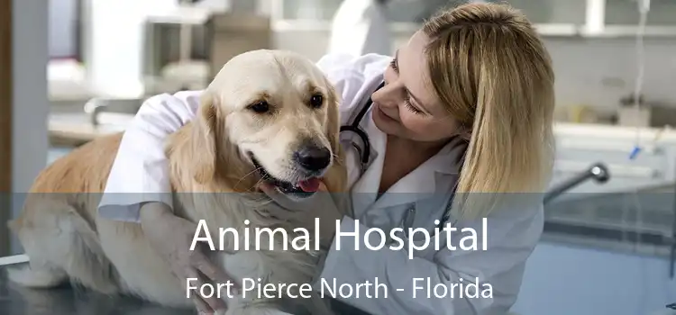 Animal Hospital Fort Pierce North - Florida