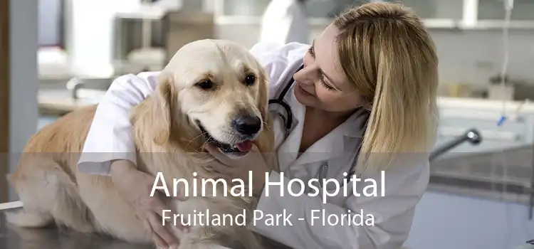 Animal Hospital Fruitland Park - Florida