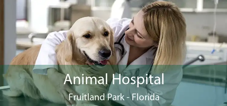 Animal Hospital Fruitland Park - Florida