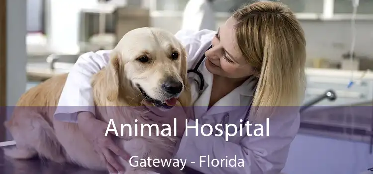 Animal Hospital Gateway - Florida