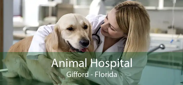 Animal Hospital Gifford - Florida