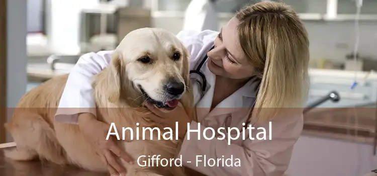 Animal Hospital Gifford - Florida