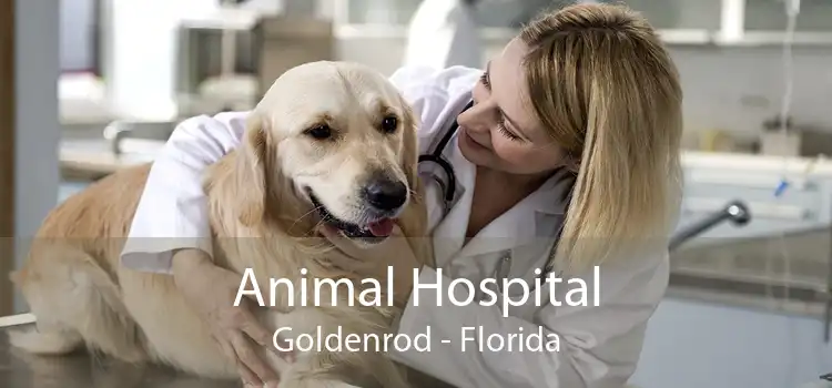 Animal Hospital Goldenrod - Florida