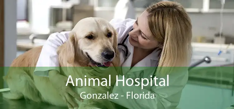 Animal Hospital Gonzalez - Florida