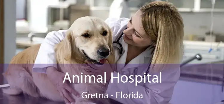 Animal Hospital Gretna - Florida