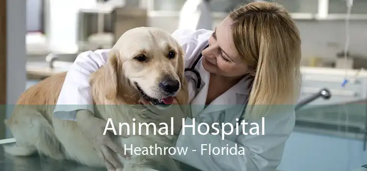 Animal Hospital Heathrow - Florida