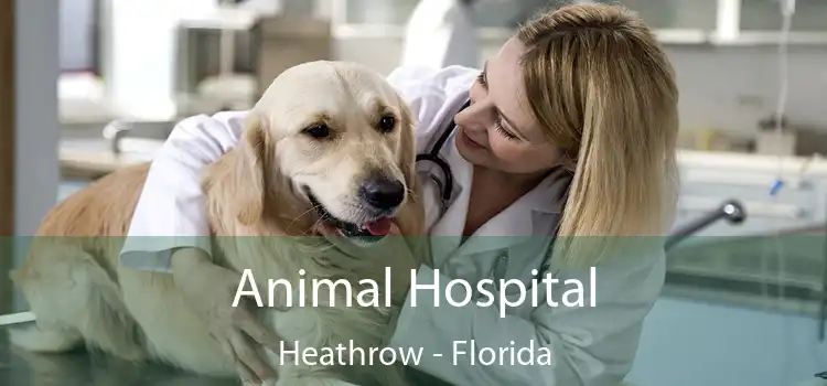 Animal Hospital Heathrow - Florida