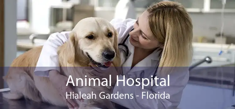 Animal Hospital Hialeah Gardens - Florida