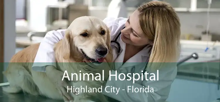 Animal Hospital Highland City - Florida