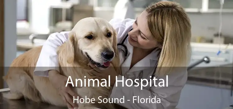 Animal Hospital Hobe Sound - Florida