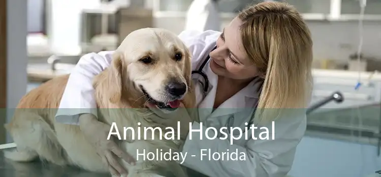 Animal Hospital Holiday - Florida