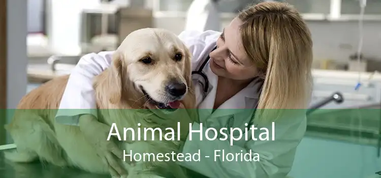 Animal Hospital Homestead - Florida
