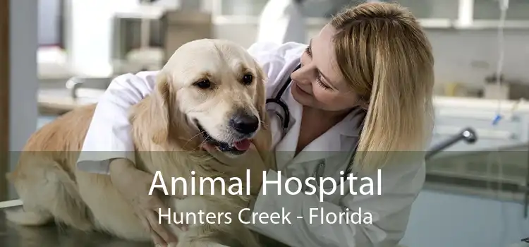 Animal Hospital Hunters Creek - Florida