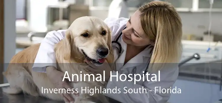 Animal Hospital Inverness Highlands South - Florida