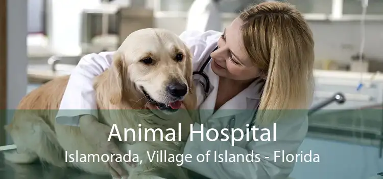 Animal Hospital Islamorada, Village of Islands - Florida