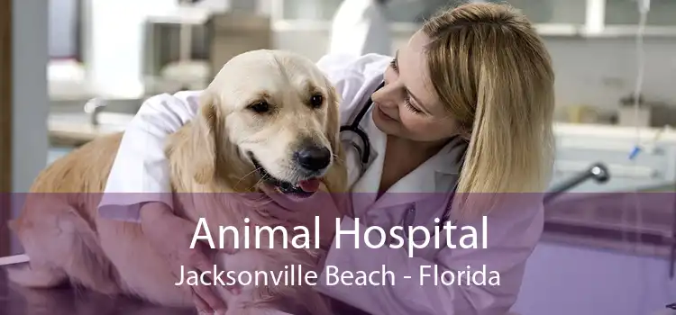 Animal Hospital Jacksonville Beach - Florida