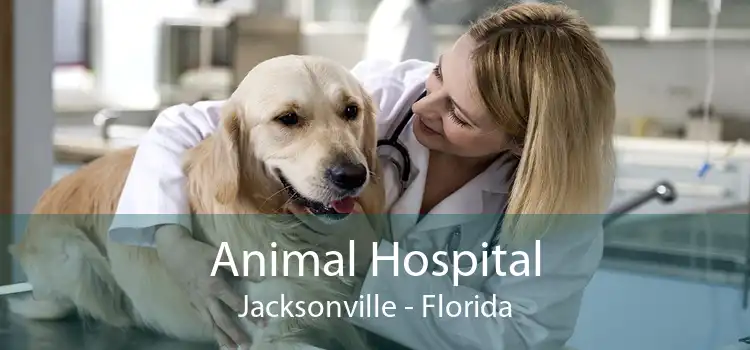 Animal Hospital Jacksonville - Florida
