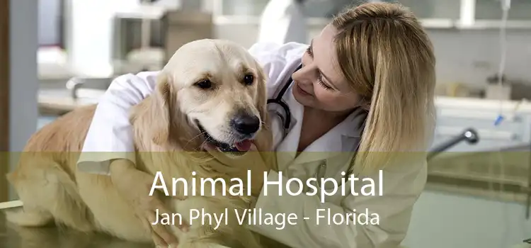Animal Hospital Jan Phyl Village - Florida