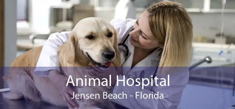 Animal Hospital Jensen Beach - Florida