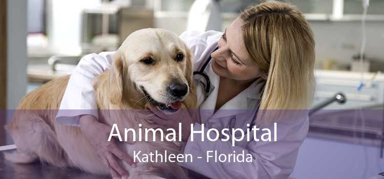 Animal Hospital Kathleen - Florida