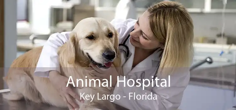 Animal Hospital Key Largo - Florida