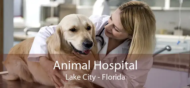 Animal Hospital Lake City - Florida