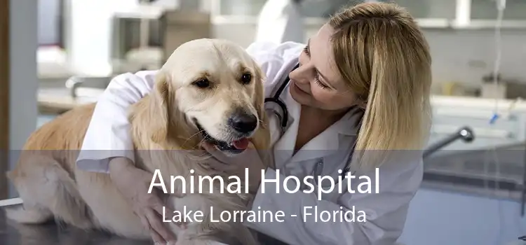 Animal Hospital Lake Lorraine - Florida