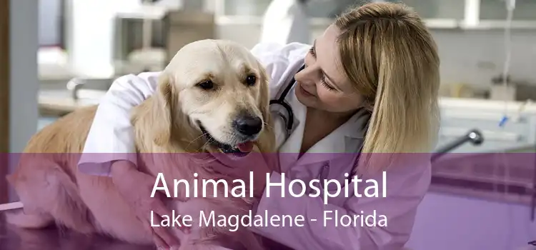 Animal Hospital Lake Magdalene - Florida
