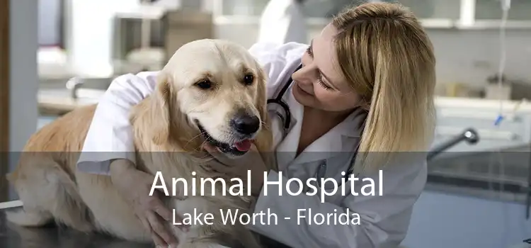 Animal Hospital Lake Worth - Florida