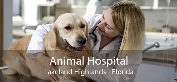 Animal Hospital Lakeland Highlands - Florida