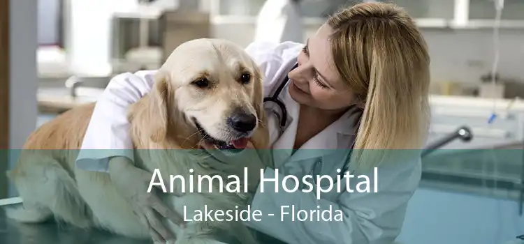 Animal Hospital Lakeside - Florida