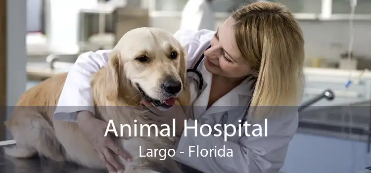 Animal Hospital Largo - Florida